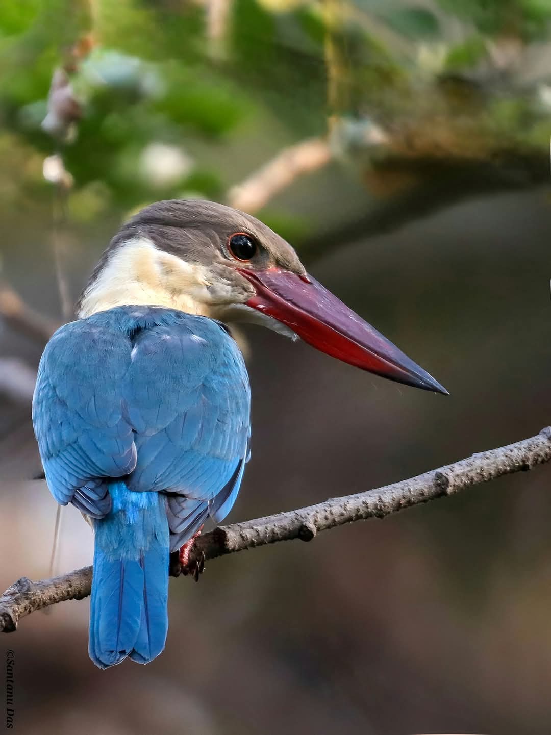 images/WhatsApp Image 2025-12-02 at 7.39.57 PM.jpeg